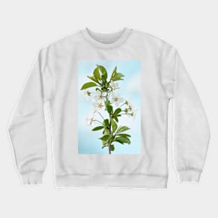 Cherry blossom Crewneck Sweatshirt